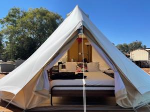 ein weißes Zelt mit einem Bett darin in der Unterkunft Club Boutique Hotel Cunnamulla in Cunnamulla