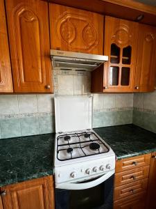 a white stove in a kitchen with wooden cabinets at Nice and Cosy two bedrooms parking balcony apartment in Rīga