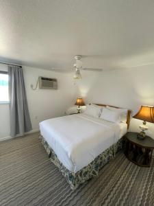 Gallery image of The Aztec Motel & Creative Space in Seligman