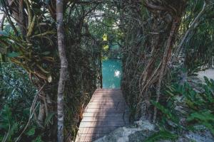 a wooden path leading to a pool with trees at Wakax Hacienda - Cenote & Boutique Hotel - Small Luxury Hotels of the World in Tulum