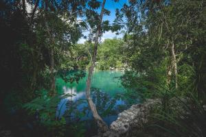 a body of water in the middle of a forest at Wakax Hacienda - Cenote & Boutique Hotel - Small Luxury Hotels of the World in Tulum