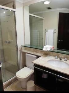 ein Badezimmer mit Toilette, Waschbecken und Dusche in der Unterkunft Hotel International Plaza Jardins in São Paulo