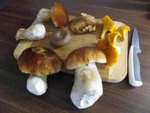 a group of mushrooms on a cutting board with a knife at Triglav Park House in Bled