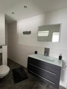 a bathroom with a sink and a toilet and a mirror at Pension Hanisch in Buch