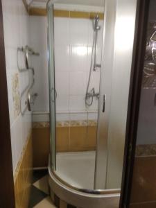 uma cabina de duche na casa de banho com WC em Тушер em Rakhiv