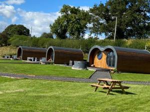 a group of huts in a park with a picnic table at Great House Farm Luxury Pods and Self Catering in Crickadarn