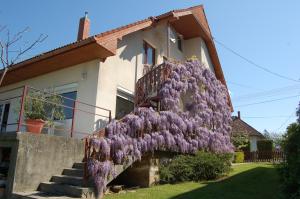 a wreath of purple flowers on the side of a house at Szalai Vendégház in Cserszegtomaj