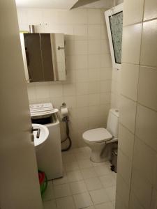 アテネにあるAthens Center Apartmentの小さなバスルーム(トイレ、シンク付)