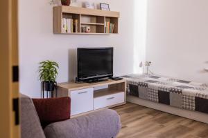TV o dispositivi per l'intrattenimento presso Ubytování U Vávrů