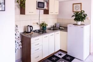 Cucina o angolo cottura di Ubytování U Vávrů