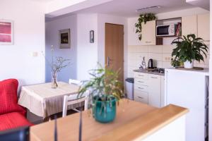 Cucina o angolo cottura di Ubytování U Vávrů