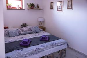 Letto o letti in una camera di Ubytování U Vávrů
