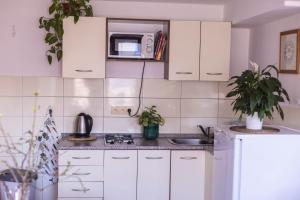 Cucina o angolo cottura di Ubytování U Vávrů