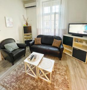 a living room with a couch and a tv at Apartment Milijana in Subotica