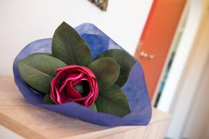eine rote Rose in einer blauen Schale mit Blättern in der Unterkunft Pura Vida Home in Laganas