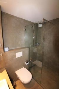 La salle de bains est pourvue de toilettes et d'une douche en verre. dans l'établissement Mondzeu C261, à Bagnes