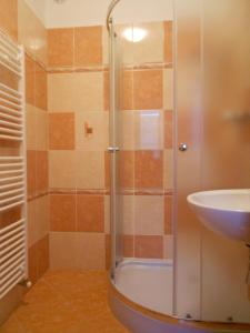 a shower with a glass door next to a sink at Apartmán u Hovorků in Borová Lada