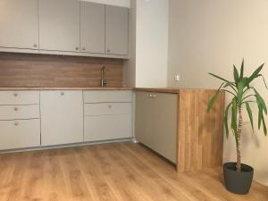 a kitchen with white cabinets and a potted plant at Apartament AG5 in Gdańsk