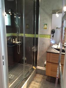 ein Bad mit einer Dusche und einer Glastür in der Unterkunft Villa avec piscine privée au calme dans Toulouse in Toulouse