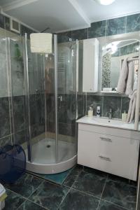 a bathroom with a shower and a sink at Apartament curat si confortabil in centru Str. Armeneasca 47 in Chişinău