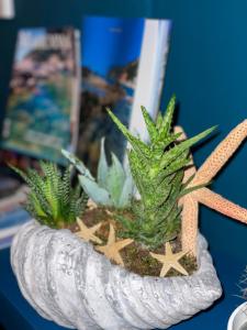 Fotografie z fotogalerie ubytování Isolotto Guest House v destinaci Porto Ercole