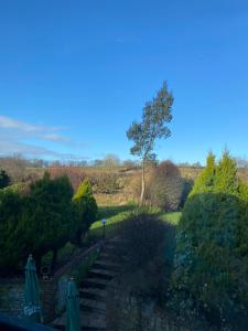 vistas a un jardín con escaleras y un árbol en The Trooper Inn, en Petersfield