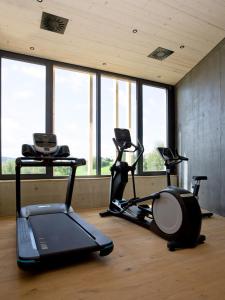 The fitness centre and/or fitness facilities at Naturhotel & Chalets Euler