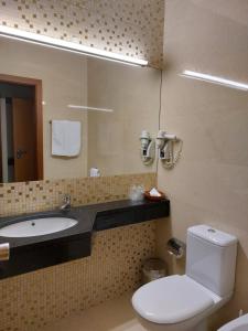 a bathroom with a toilet and a sink and a tub at Hotel Aguiar da Pena in Vila Pouca de Aguiar