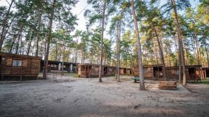 a group of log cabins in a forest with trees at Chatky Borný in Doksy
