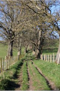 a tree lined dirt road next to a fence at Spacious and bright 1 - bedroom rental unit in Ilkley