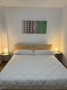 1 dormitorio con 1 cama grande y 2 lámparas en ambos lados en Bet&CoBeach Apartments, en Valencia