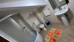 a bathroom with a shower and a toilet and a sink at Pensiunea Miruna Slănic Moldova in Slănic-Moldova +9 photos