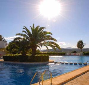 a swimming pool with a palm tree and the sun at 6 persoons bungalow met gemeenschapelijk zwembad in Benitachell