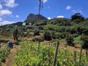 Paisagem natural perto da casa de hóspedes
