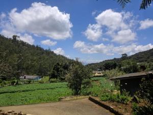Paisagem natural perto da casa de hóspedes
