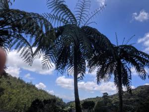 Paisagem natural perto da casa de hóspedes