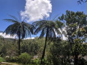 Paisagem natural perto da casa de hóspedes