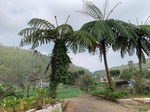 Foto da galeria de Acme Divine View em Nuwara Eliya