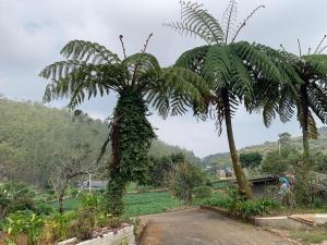 Paisagem natural perto da casa de hóspedes