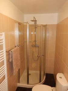 a bathroom with a shower and a toilet at Maison de village située dans le magnifique Golfe de Porto in Osani