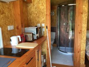 a bathroom with a shower and a sink and a toilet at Caledonian Glamping in Cannich