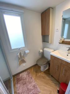 a bathroom with a toilet and a sink and a window at Neuf 2022, 6-8 personnes, piscine, vacancesdenani in Saint-Julien-en-Born