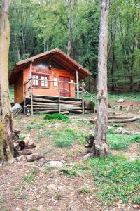 Táj Show holiday homes közelében