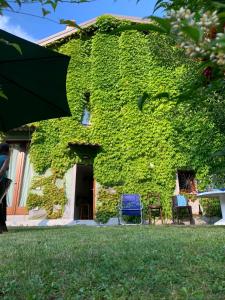 A garden outside Il Giardino Nascosto - Bellagio, Lago di Como