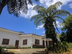 uma palmeira em frente a uma casa branca em Acme Divine View em Nuwara Eliya