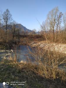 a river in a field with trees and water at Urlaub im schönen Nussdorf/Inn in Nußdorf am Inn