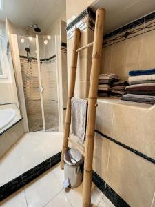 a bathroom with a walk in shower and a sink at Chez Amélie in Crémieu