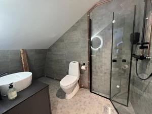 a bathroom with a toilet and a glass shower at Torsken Brygge in Torsken