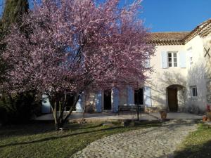 kwitnące drzewo przed domem w obiekcie Mas Bohème w mieście Espeluche