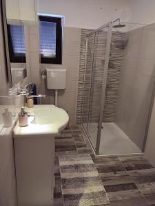 een badkamer met een wastafel en een douche bij Dubravka in Dinjiška
